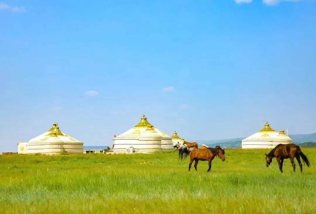 微信圖片_20230203103716.jpg 微信圖片_20230203103716.jpg